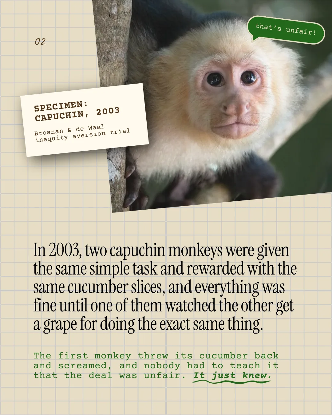 Slide 2 of 6